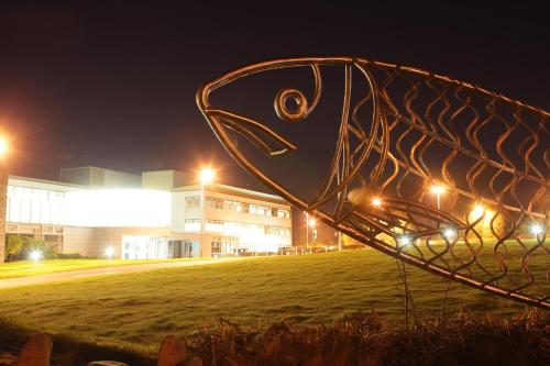 Causeway Holiday Homes — Coleraine — photo 2