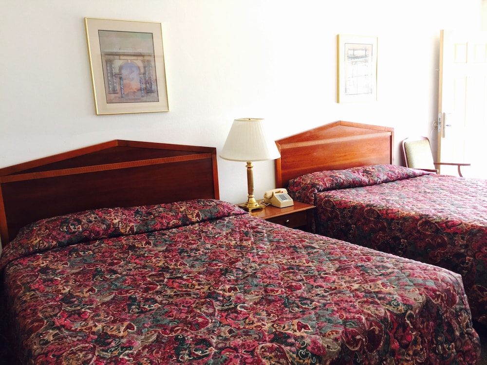 Maple Inn & Suites - photo 8