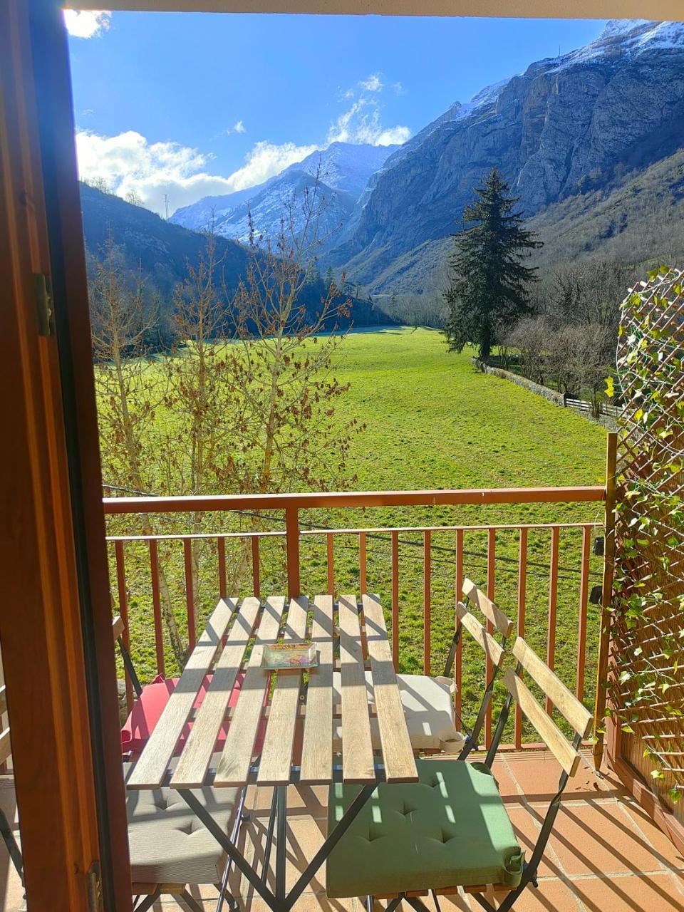 Ventana Al Paraiso Del Oso Somiedo Window To Bear Paradise Somiedo — Pola De Somiedo