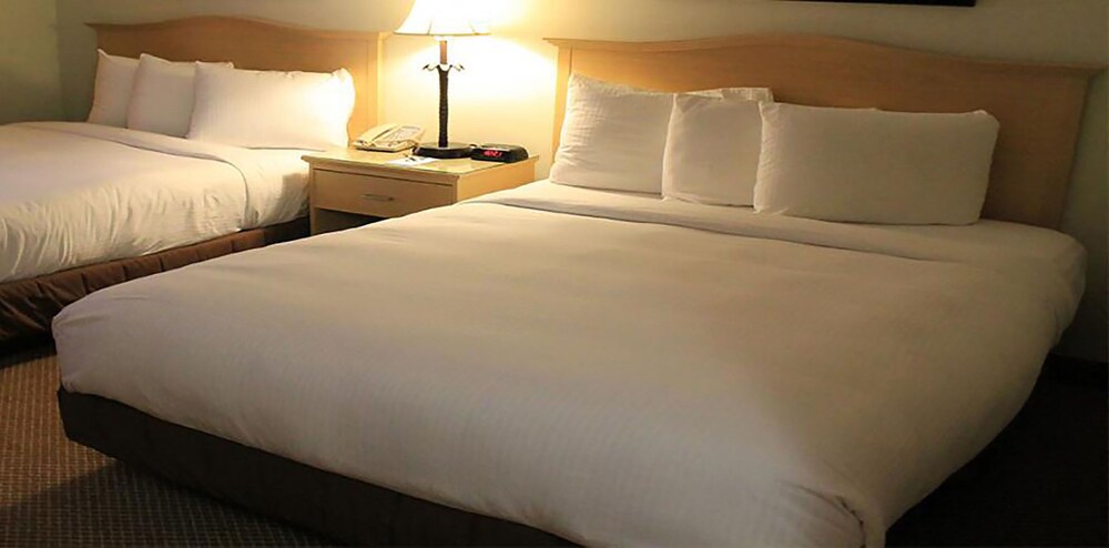 Isle of Capri Casino Hotel Lula A Caesars Rewards Destination - photo 11
