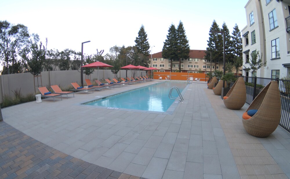 Oakwood Mountain View - photo 14