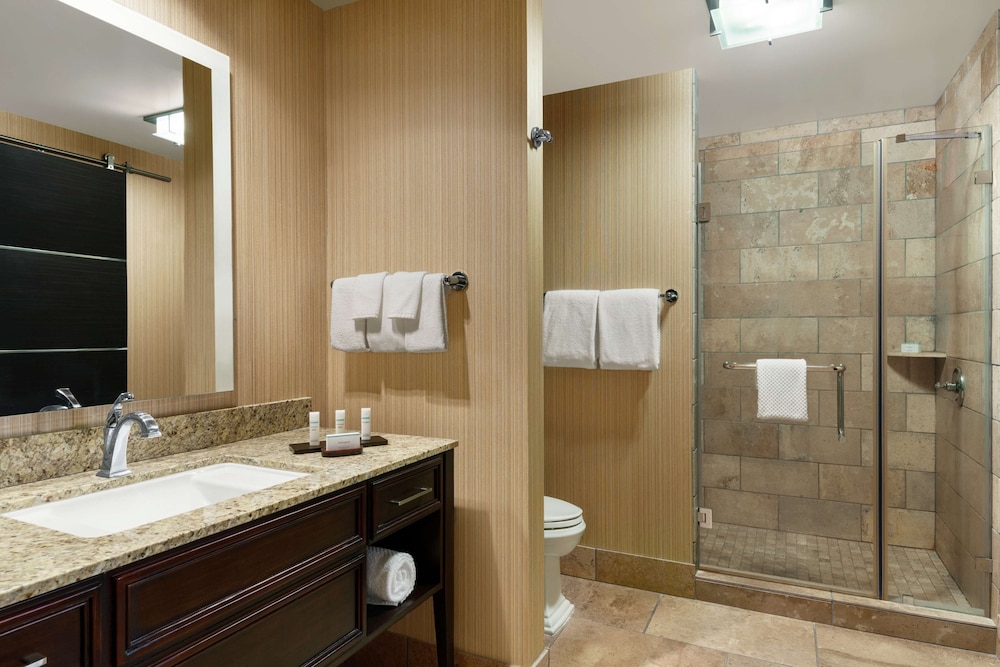 Embassy Suites by Hilton Salt Lake West Valley City - photo 51