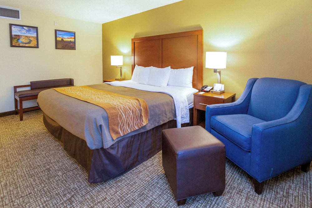 Comfort Inn Salt Lake City Downtown - photo 33