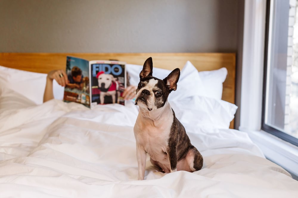 Hotel Max - photo 48