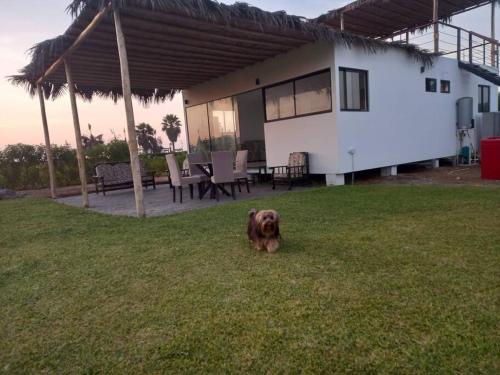 The Pacific Cottage — 4-Star Luxury Hotel in Chincha Baja, Peru