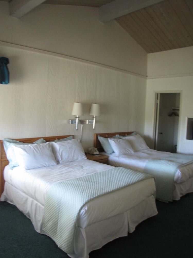 Bridge Bay Lodge at Shasta Lake - photo 12