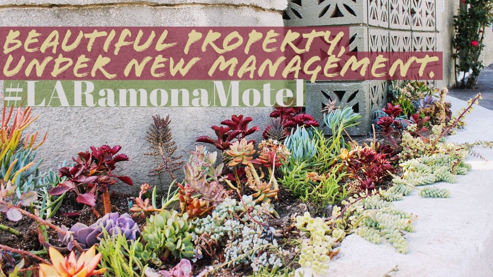 LA Ramona Motel - photo 93
