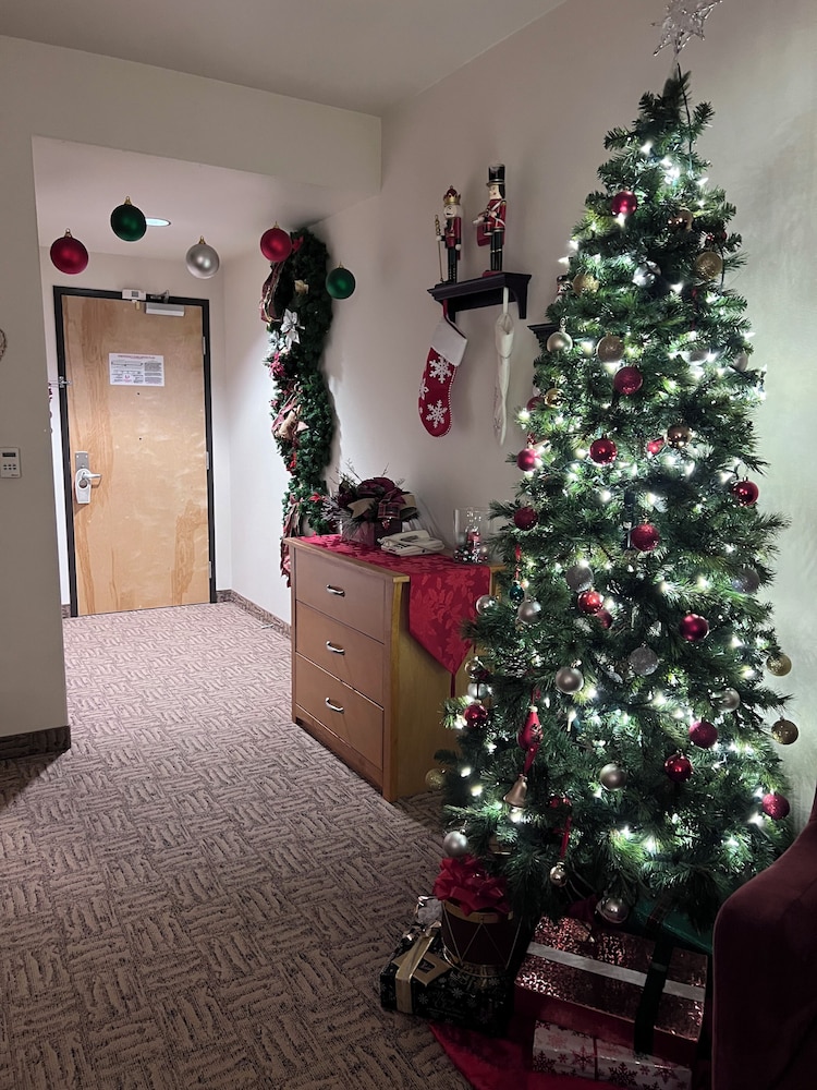 Hotel North Pole - photo 33
