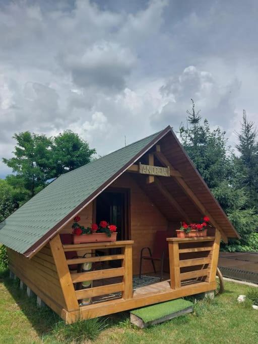 Cazare la Munte cu Piscină — hotel in Bistra