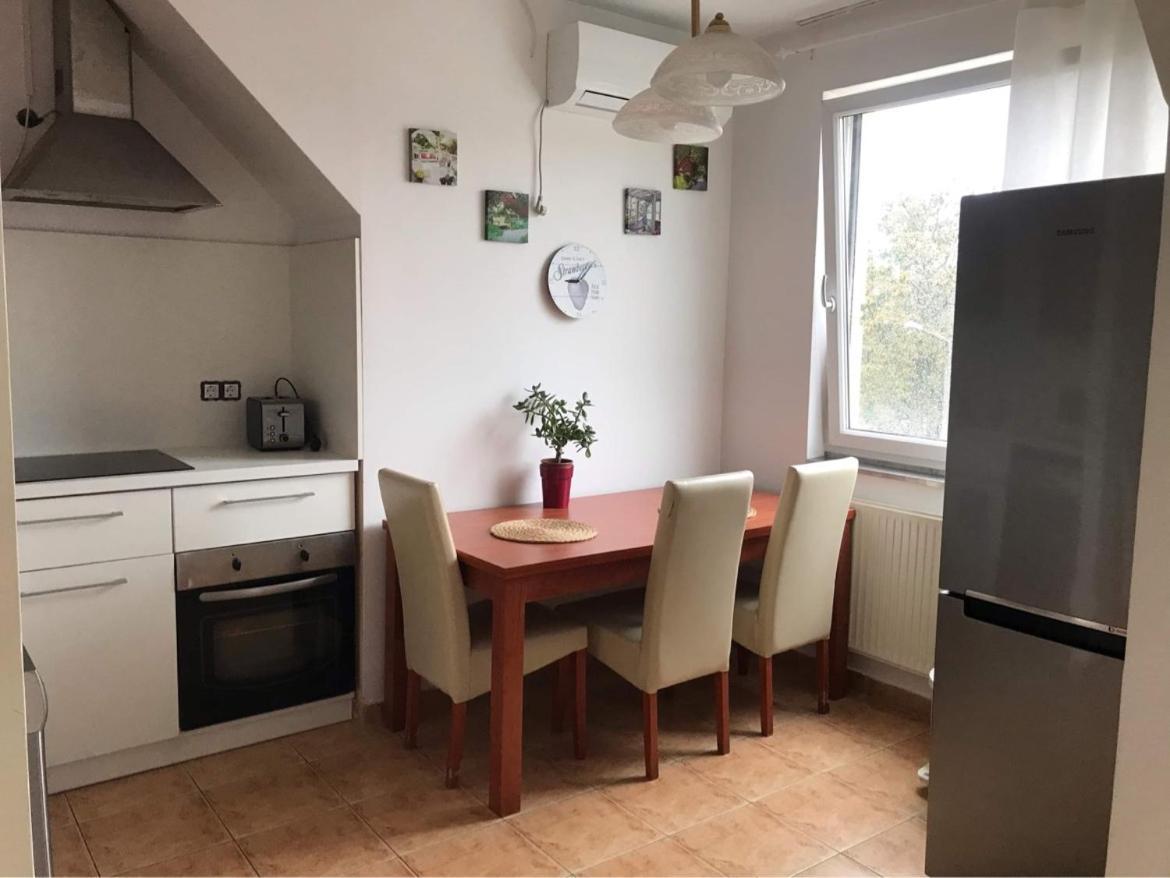 Merion in Debrecen, Hungary