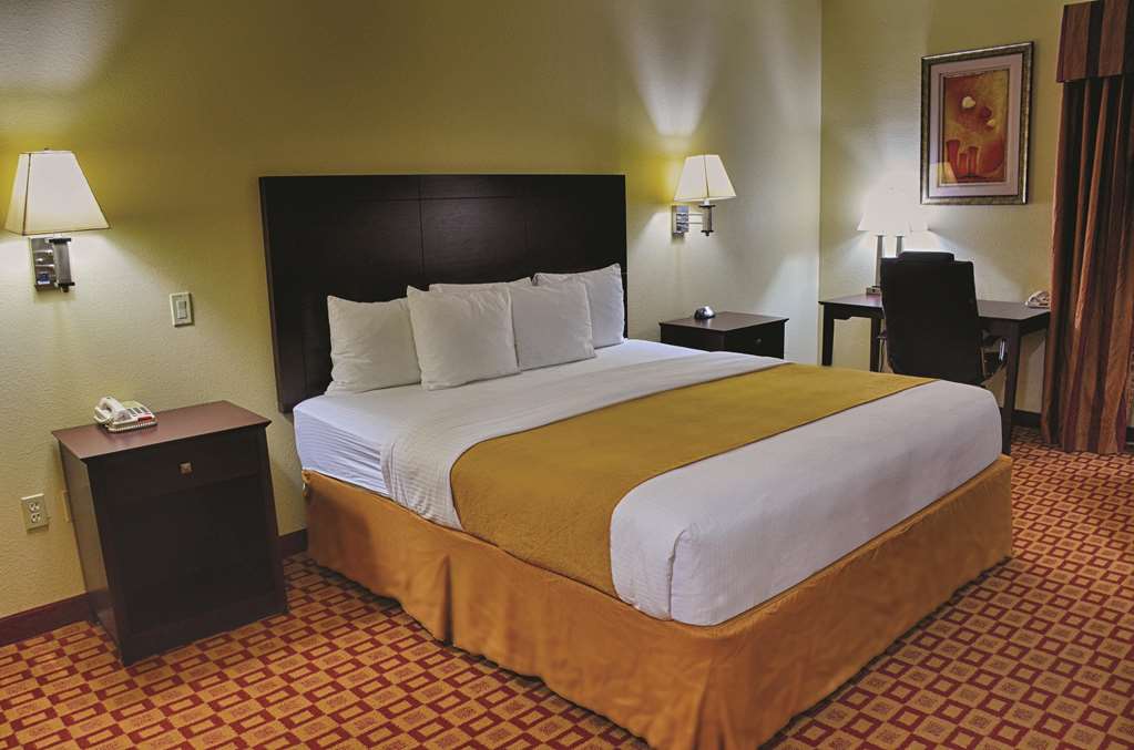 La Quinta Inn & Suites by Wyndham Alice - photo 11
