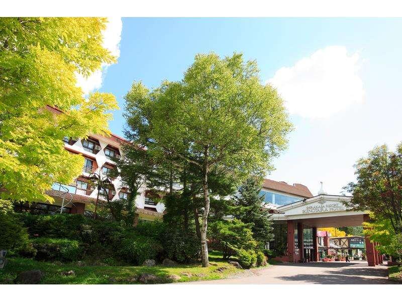 Shirakaba Resort Ike No Taira Hotel — 4-Star Luxury Hotel in Chino, Japan