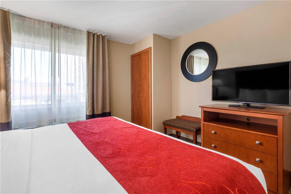 Comfort Suites North Dallas - photo 24