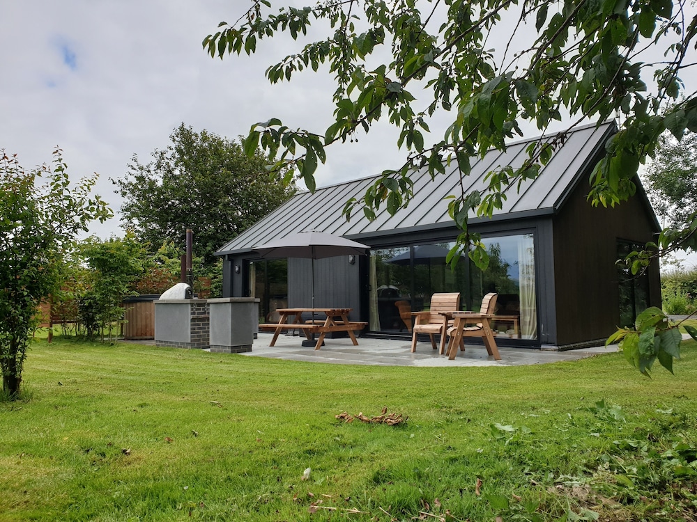 Blackcap in York, United Kingdom