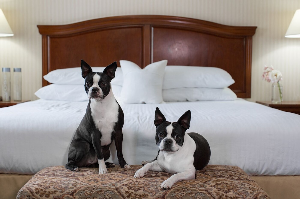 Rogue Regency Inn Medford Airport - photo 16