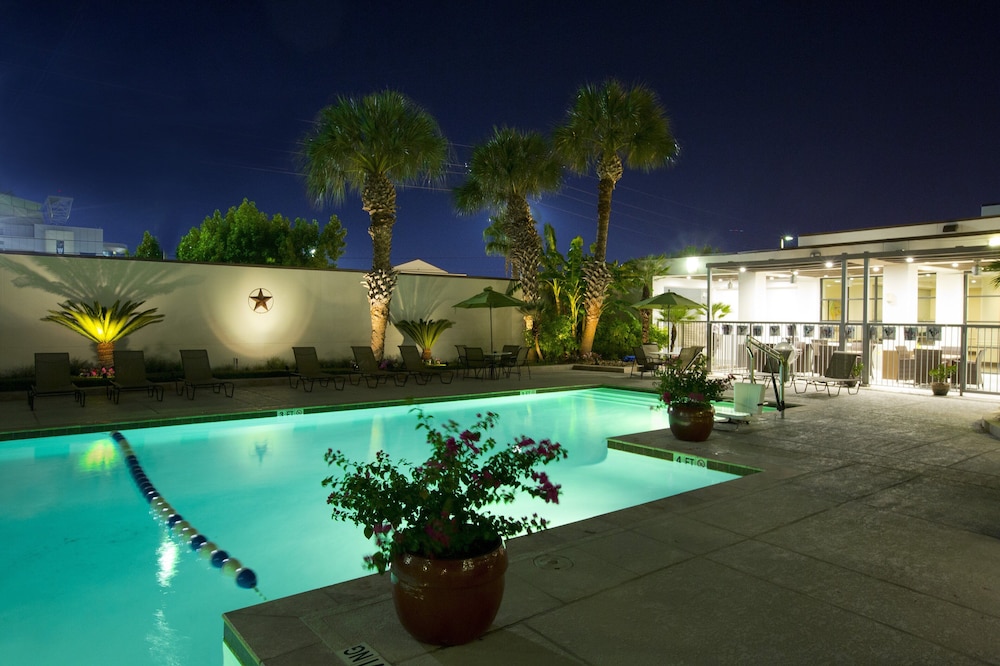 Holiday Inn Houston S Nrg Area Medical Center by IHG - photo 28