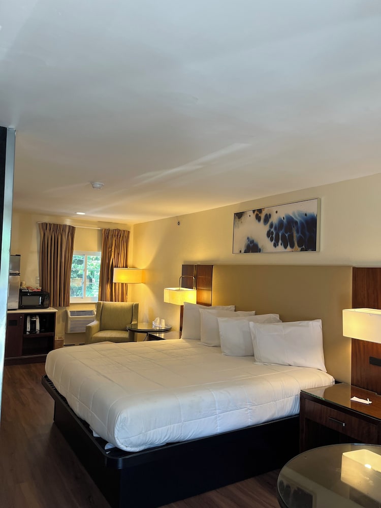 Anchorage Inn of Rochester - photo 11
