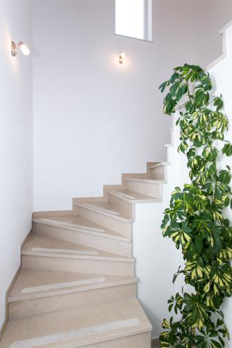 Guest House Letizia