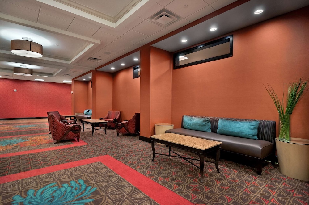 Hampton Inn & Suites Tampa Northwest Oldsmar - photo 43
