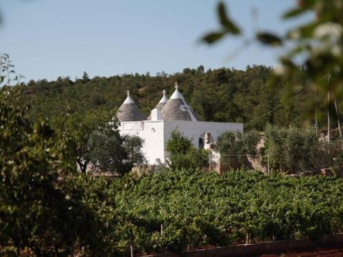 Tipici Trulli immersi nella Valle D’Itria in Cisternino, Italy