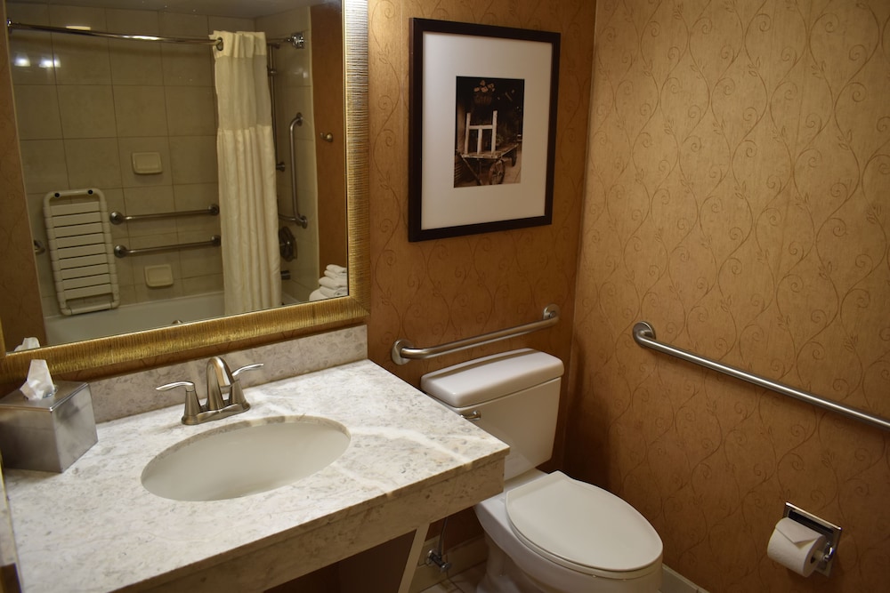 DoubleTree by Hilton Asheville Biltmore - photo 53