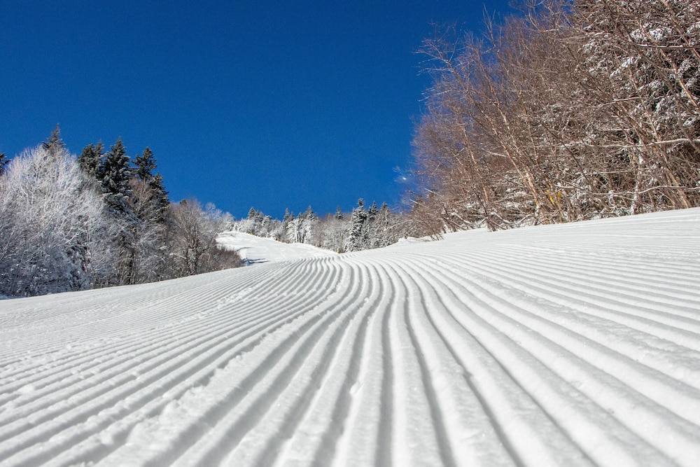 The Black Bear Lodge at Stratton Mountain Resort - photo 31