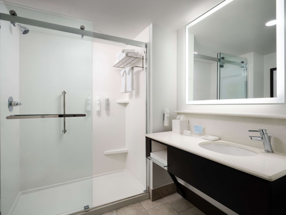 Hampton Inn & Suites Austin Downtown - photo 41