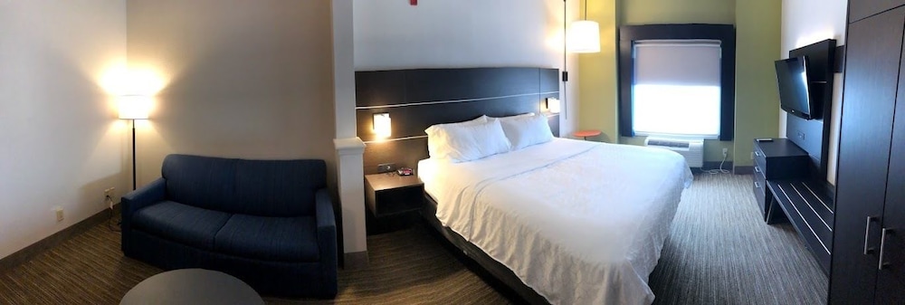 Holiday Inn Express Hotel & Suites Decatur by IHG - photo 6