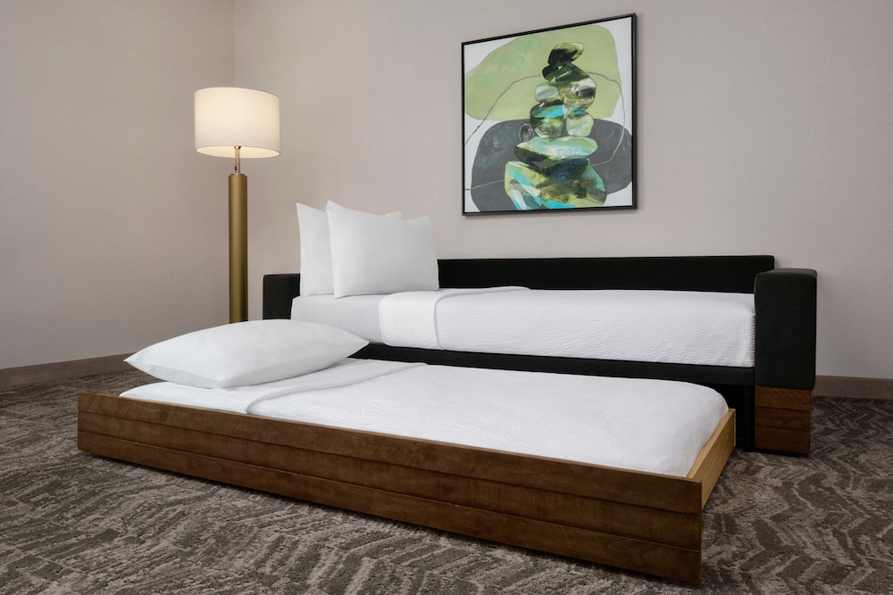 SpringHill Suites by Marriott Chula Vista Eastlake - photo 3