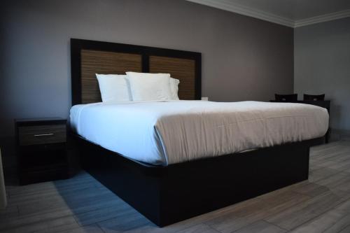Willow Tree Inn & Suites - photo 14