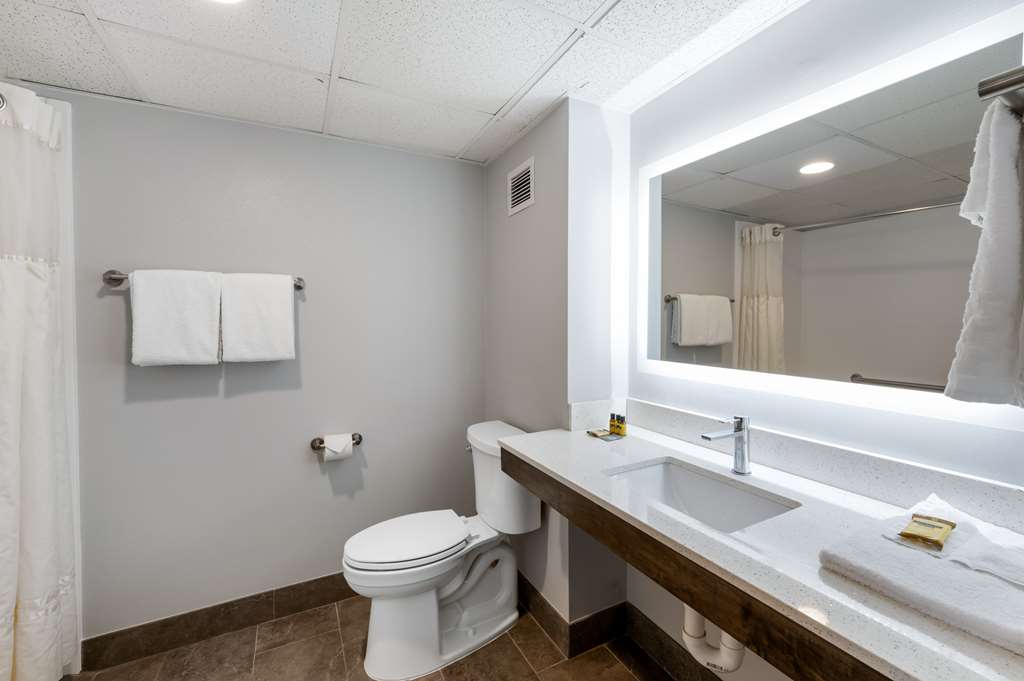 Best Western Plus Alexandria Fort Belvoir - photo 38