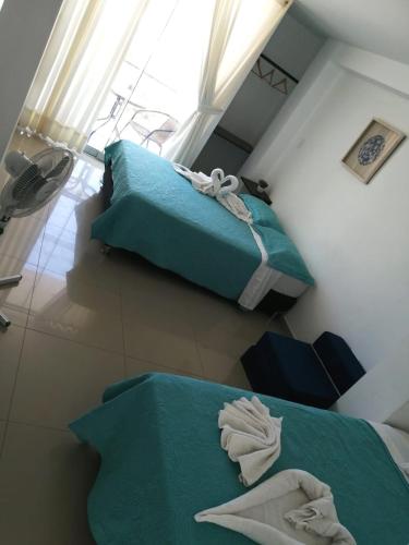 Inkayacu Vip in Paracas, Peru