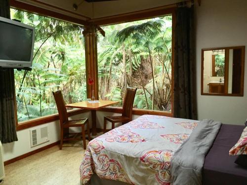 Volcano Inn - photo 57