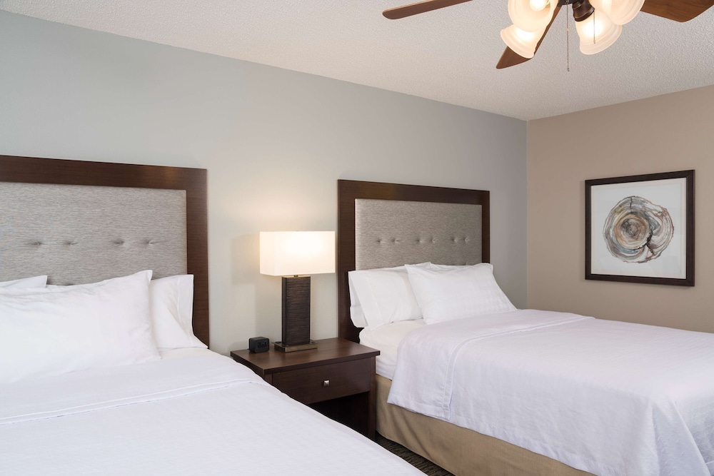 Homewood Suites by Hilton Indianapolis Northwest - photo 7