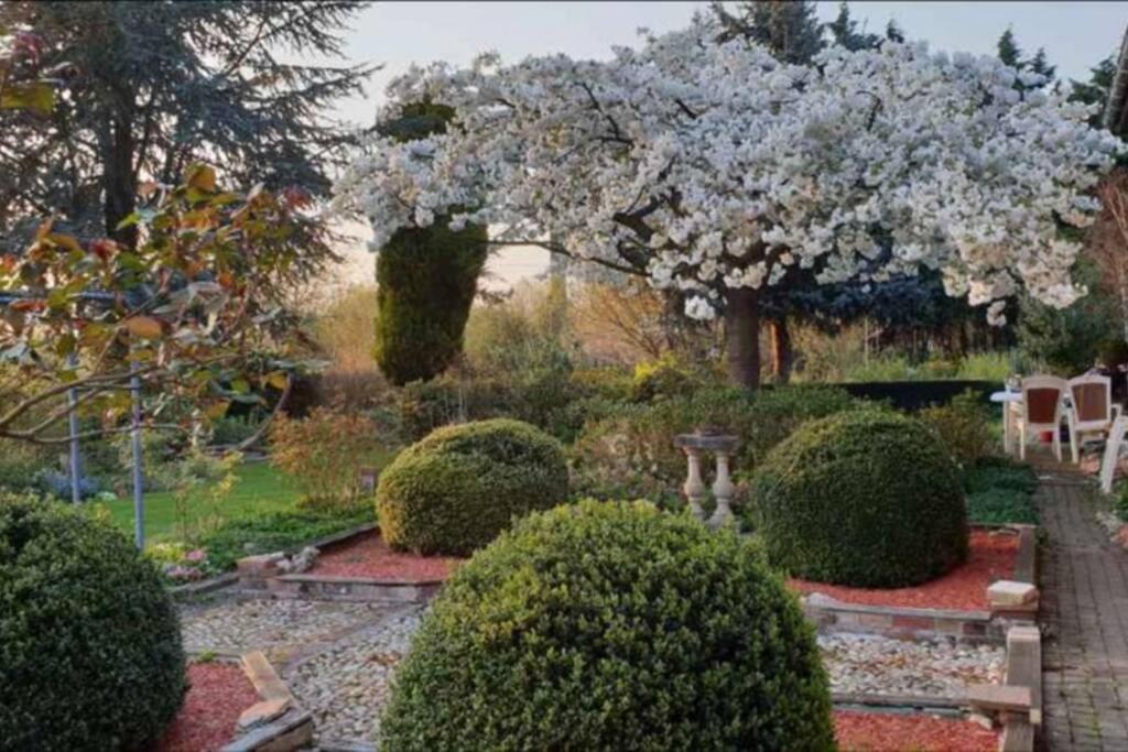 Chez Maya pet-friendly hotel Erquinghem-Lys
