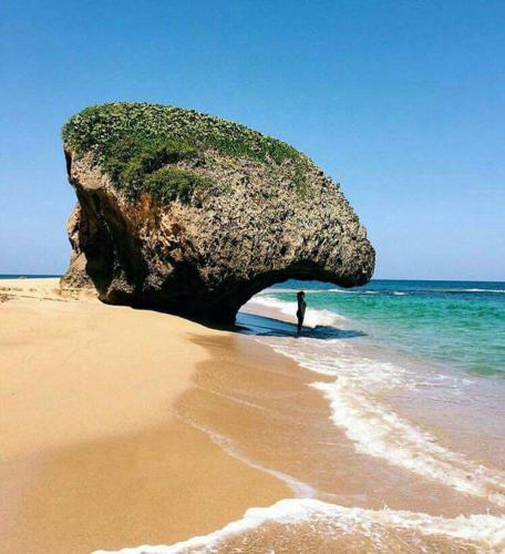 Walk to the Beach 2Min Cozy Boutique Pool Palmeras Del Mar Isabela — 4-Star Luxury Hotel in Isabela, Puerto Rico