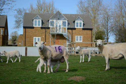 Field View — Braunston — photo 2