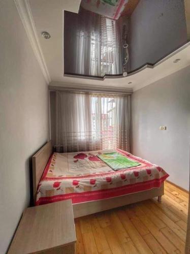 Apartment Dolphin