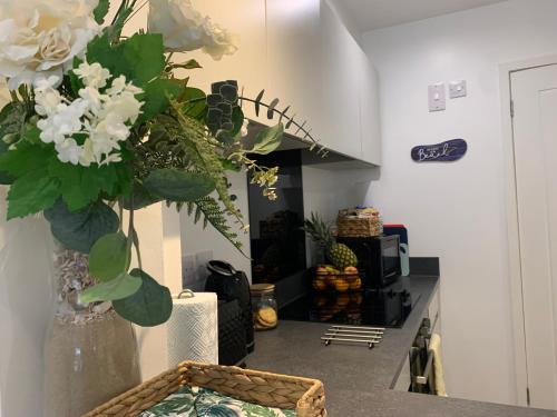 Bournemouth Nr Town Beach Train Coach Uni Shops Lovely Entire Apartment Allows Quiet Good Dogs — 4-Star Luxury Hotel in Bournemouth, United Kingdom