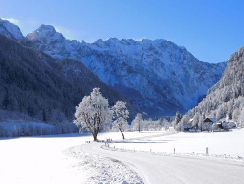 River Resort Savinja - last minute hotel in Smartno Ob Paki