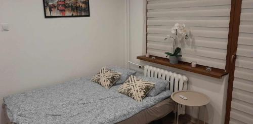 Ciotka Klotka in Koszalin, Poland