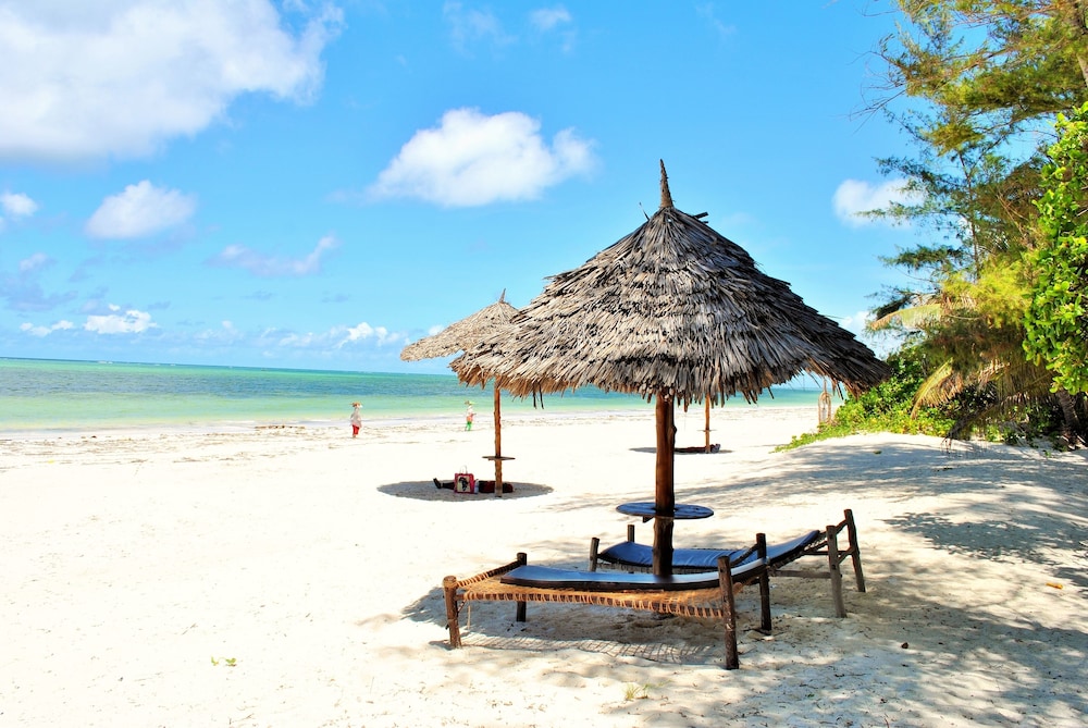 Evergreen Bungalows - last minute hotel in Zanzibar