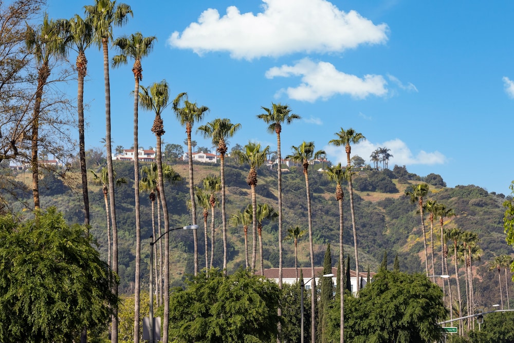 The Anza A Calabasas Hotel - photo 86