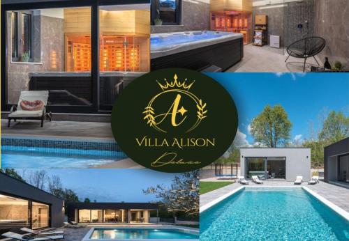 Villa Alison Deluxe with private spa and heated swimming pool — 4-Star Luxury Hotel in Nedescina, Croatia