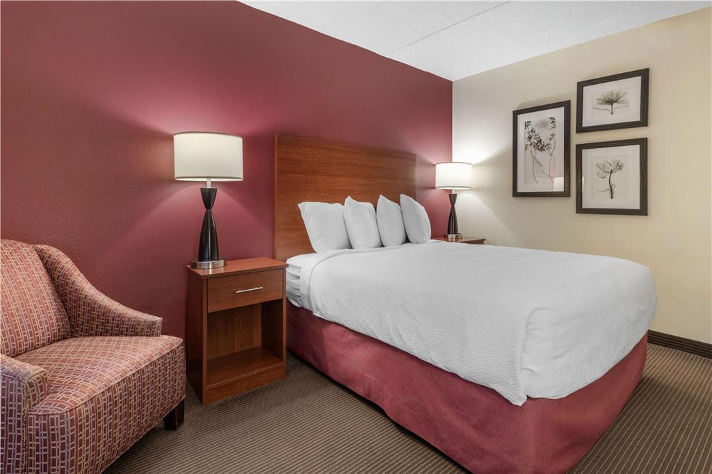 SureStay Plus Hotel by Best Western Litchfield - photo 20