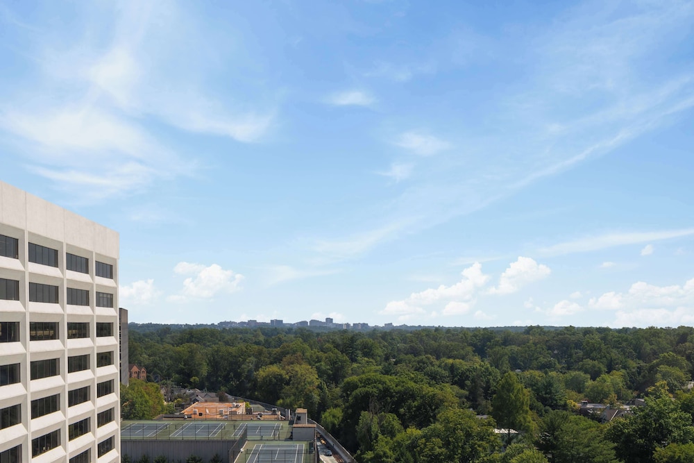 Hilton Garden Inn Bethesda Downtown - photo 21