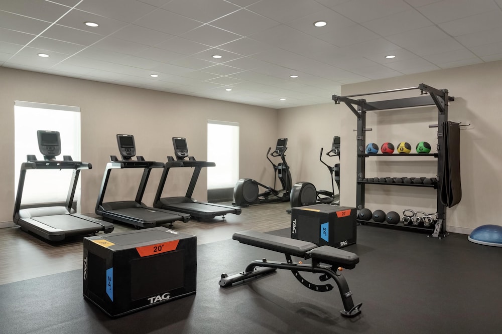 Hampton Inn & Suites Tampa Busch Gardens Area - photo 39