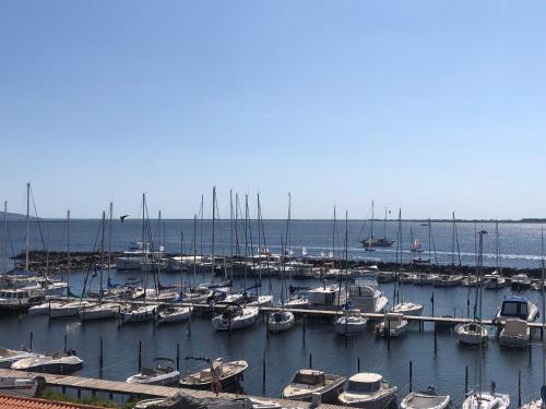 Un Endroit De Rêve — 4-Star Luxury Hotel in Marseillan, France