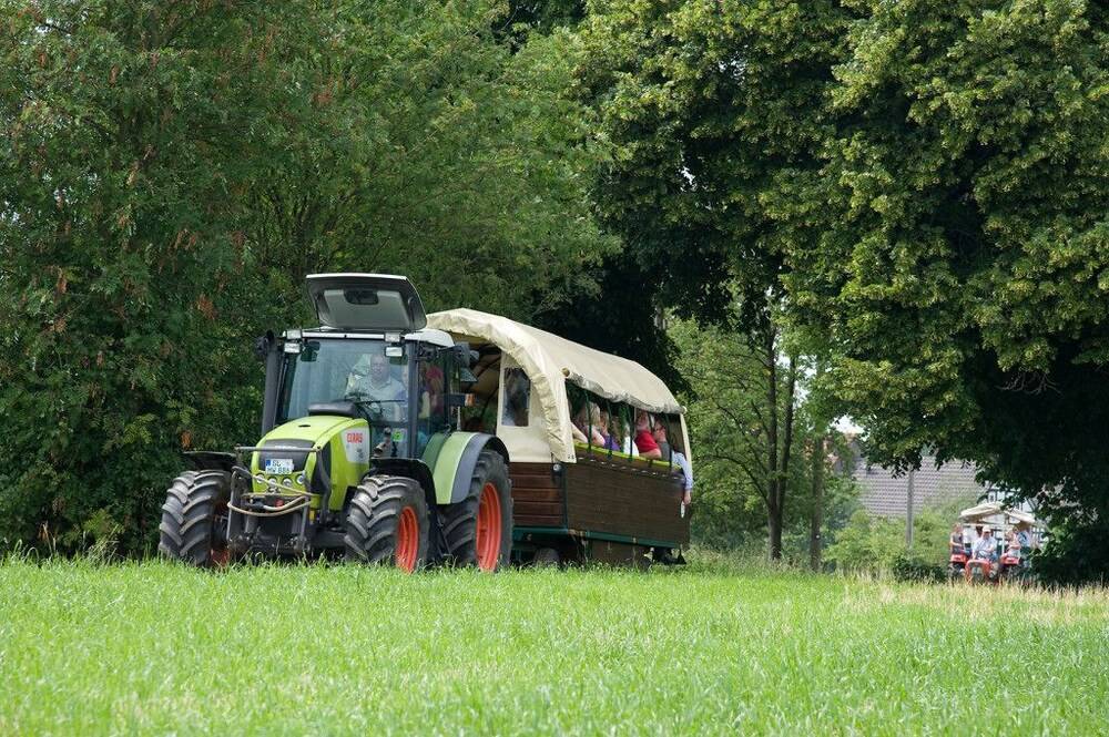 Childrens Activities