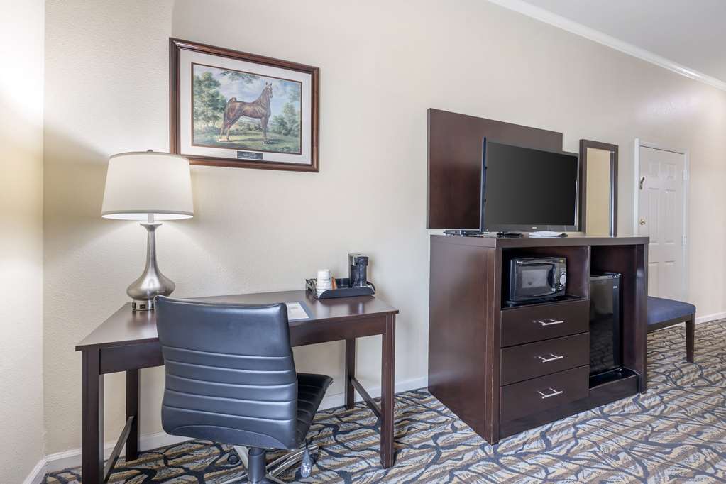 Best Western Spring Hill Inn & Suites - photo 12